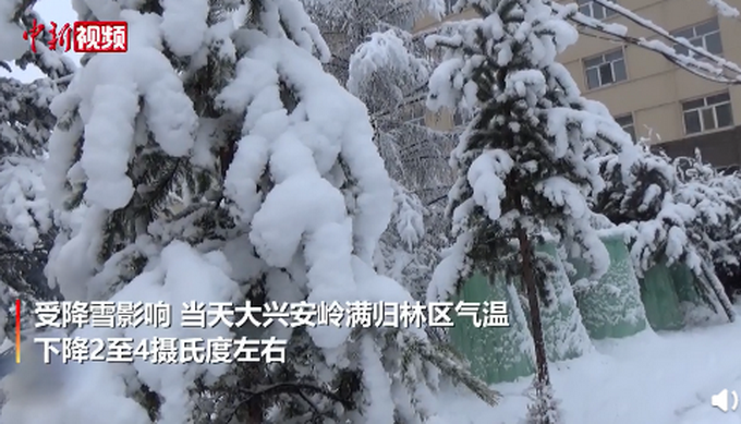 热点|大兴安岭满归林区积雪超20厘米，网友：然而我还在穿短袖