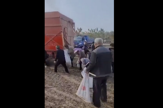 |河南承包商收割花生村民尾随捡拾，有人还因此受伤，警察来了都叫不住