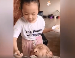 |暖！10岁重孙女给108岁太爷爷喂饭，网友直呼：太幸福