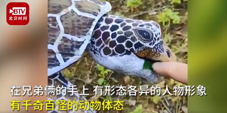 |被货车司机耽误的艺术家！双胞胎大叔独创彩绘手指舞走红网络