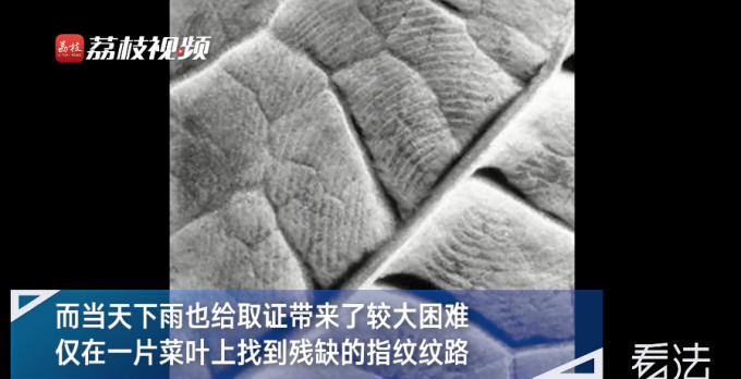 |无锡破获19年前抢劫强奸单身女性案：作案手法凶残，致2人死亡