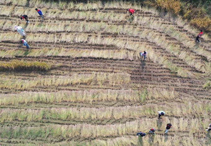 粮食浪费|全球有近6.9亿人正在挨饿！联合国发出一个重要预警