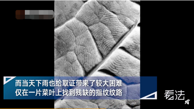 热点|无锡警方破获19年前抢劫强奸单身女性案，网友：鸡蛋也立了大功