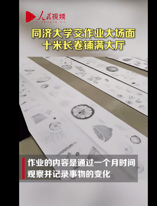 推荐|大场面！同济大学新生作业每份10米长，网友：都是显微镜成精的画手
