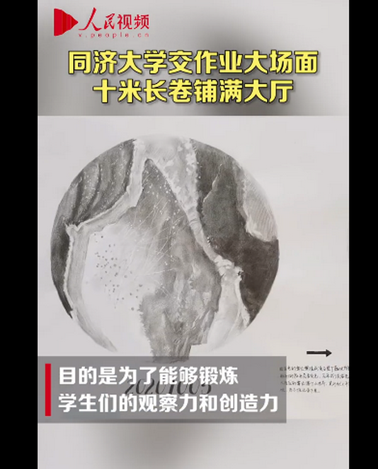 推荐|大场面！同济大学新生作业每份10米长，网友：都是显微镜成精的画手