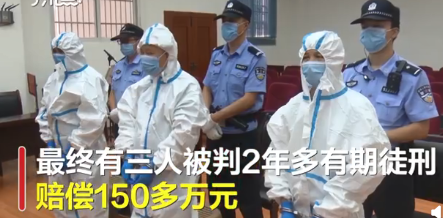 |触目惊心！四川一捕鸟团伙4人26天捕鸟8万余只