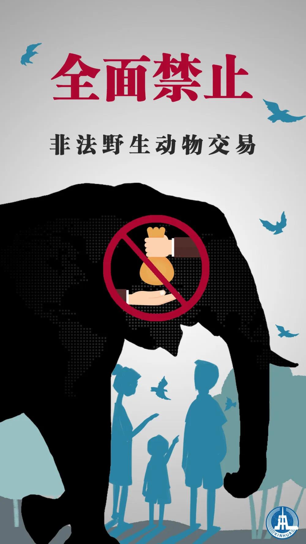 |触目惊心！四川一捕鸟团伙4人26天捕鸟8万余只