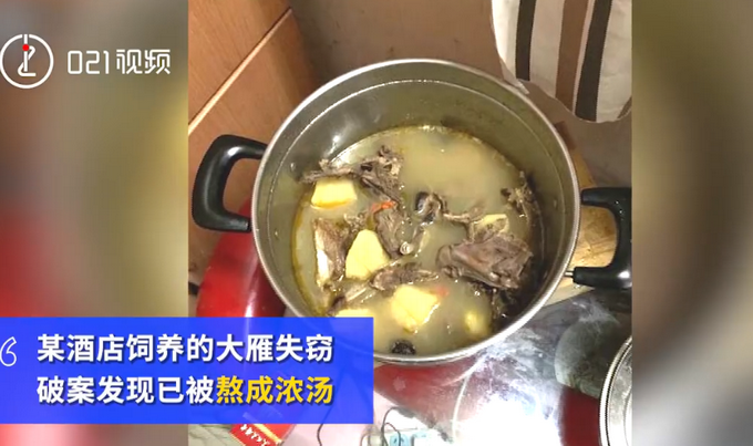 |男子酒后偷杀观赏大雁炖汤，民警：这不是原始森林，你当打猎啊