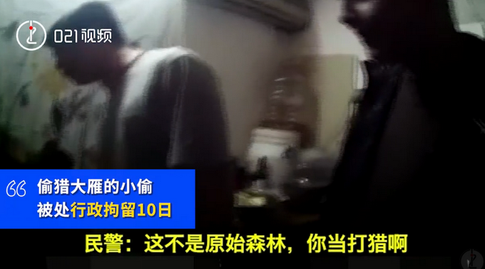 |男子酒后偷杀观赏大雁炖汤，民警：这不是原始森林，你当打猎啊