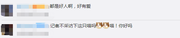 推荐|小伙上树救猫双双被困，小猫被救还“凶”消防小哥哥 网友：好可爱