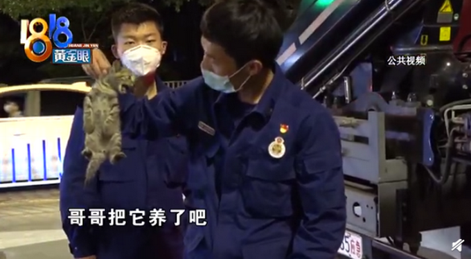 推荐|小伙上树救猫双双被困，小猫被救还“凶”消防小哥哥 网友：好可爱