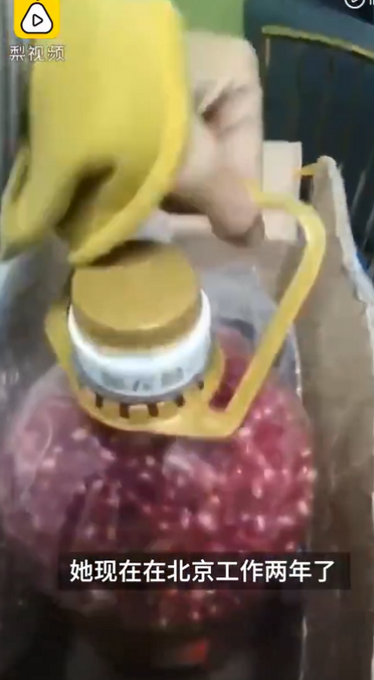 热点|妈妈手剥10斤石榴籽寄给女儿，网友羡慕：每一颗都是思念