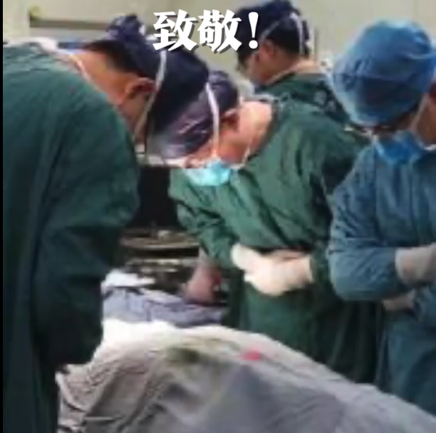 器官捐献|“能用的，都捐”，24岁研究生去世捐献器官救5人