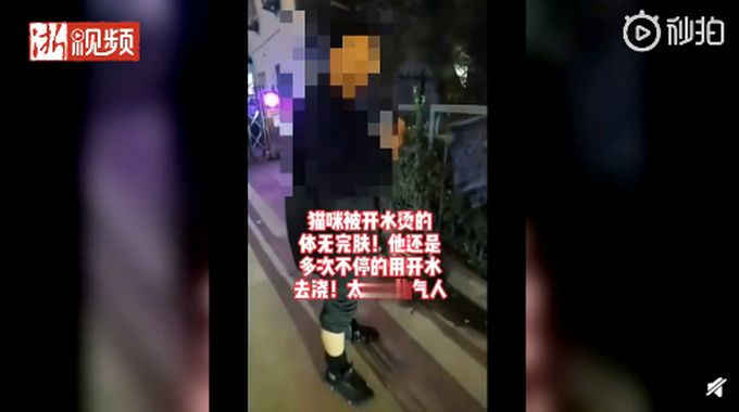 |残忍！太原一男子当街虐猫，网友怒了