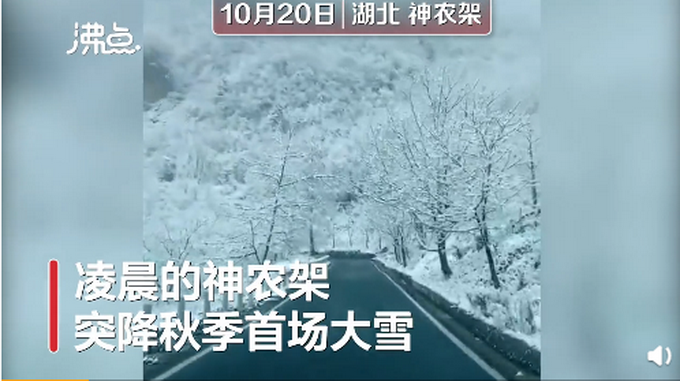 热点|神农架一夜秋雪满山变白头，网友齐呼：太美了，像仙境