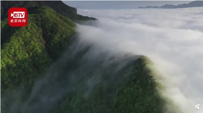 热点|神农架一夜秋雪满山变白头，网友齐呼：太美了，像仙境