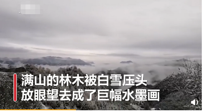 热点|神农架一夜秋雪满山变白头，网友齐呼：太美了，像仙境