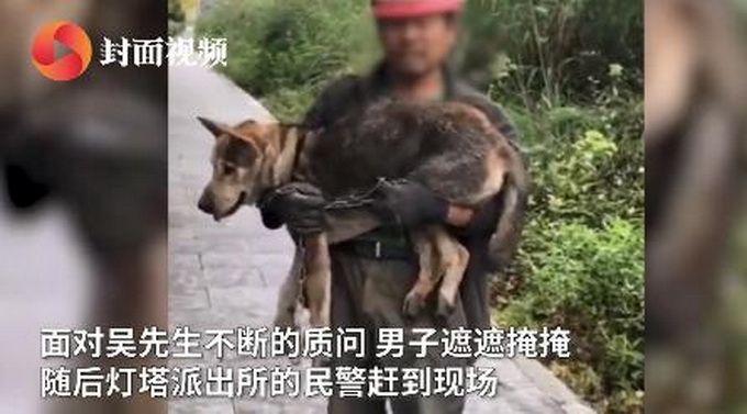 热点|称被狗咬后泄愤，男子骑电瓶车拖行大狗两公里，狗伤势严重
