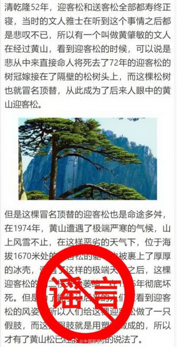 |黄山风景区辟谣“迎客松为塑料树”，网友：树都不知道自己做错了什么