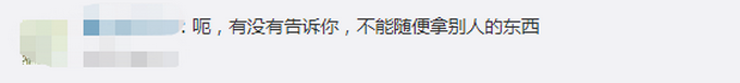 推荐|小学生拔标本鹿角给爷爷补身体，有网友引用《弟子规》评论此事