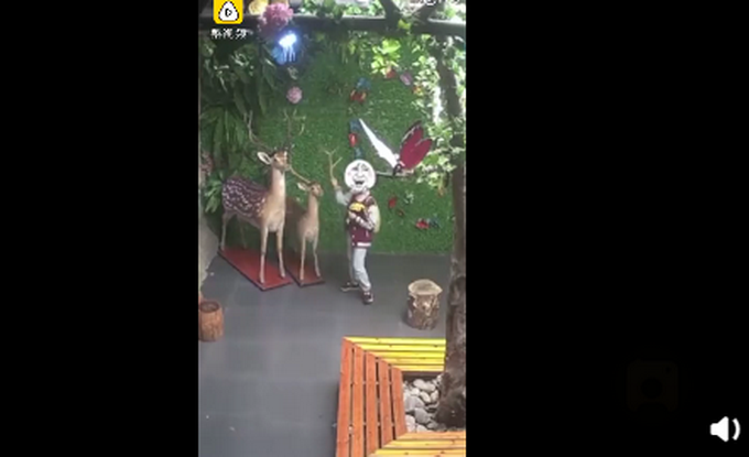 |小学生拔标本鹿角给爷爷补身体，网友评论三观很正，你怎么看？