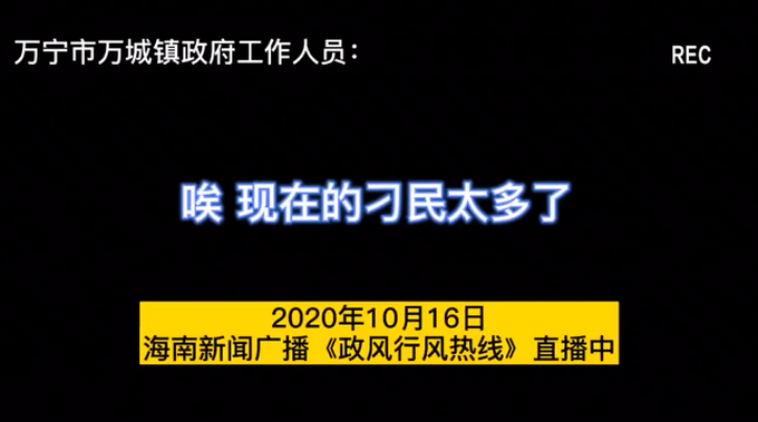 |海南万宁一干部节目里称“刁民太多”，官方通报来了