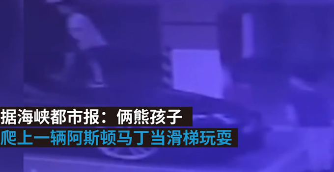 熊孩子|熊孩子将豪车当滑梯被索赔25万，车辆维修费预计80万