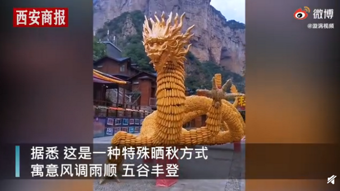 |景区近6万根玉米搭69米金龙，网友“神评论”：能不能给我吃一口