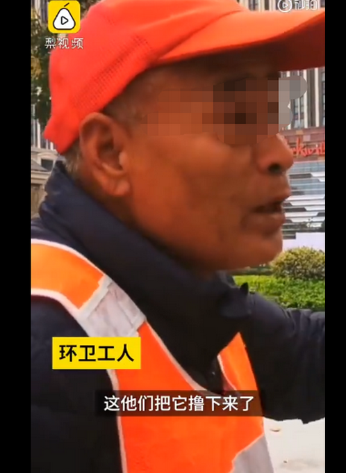 推荐|郑州一商场撸掉银杏真树叶绑上假的，网友：什么迷惑行为？