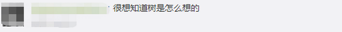 推荐|郑州一商场撸掉银杏真树叶绑上假的，网友：什么迷惑行为？