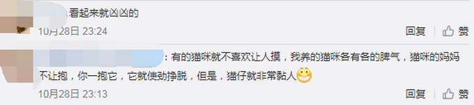 热点|北大流浪猫因抓人被连贴12张告示，猫：咦，为啥没人喂我啦！