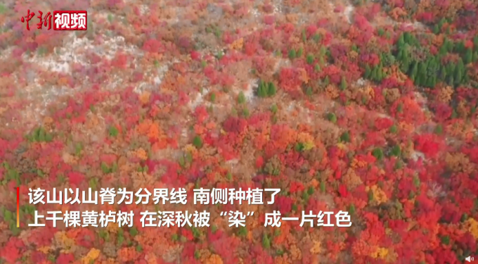 |江苏句容乡村平流雾景观似仙境，云打卡走一波！