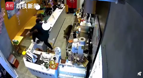 |野猪窜进商场奶茶店跃一米高台跑出，网友：还好女店员反应快