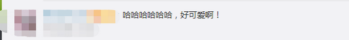推荐|狗子连喊带比划叫小伙伴出去玩，肢体语言达到巅峰！网友：急得就差说话了
