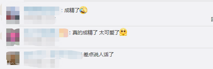 推荐|狗子连喊带比划叫小伙伴出去玩，肢体语言达到巅峰！网友：急得就差说话了