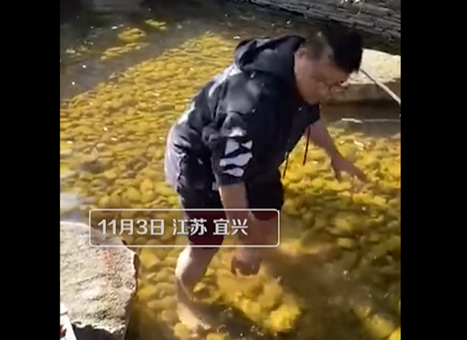 |言传身教！爸爸赤脚下水捞宝宝扔的玻璃渣：想让儿子学会承担责任