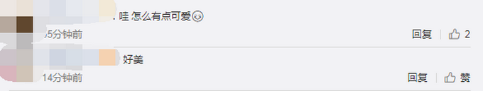 热点|月牙泉景区来了一只小白狐，工作人员发出提醒，网友：浅浅是你吗？
