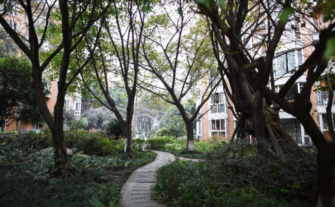 |北京广内三庙街社区老街坊当起“环境魔法师”，共建“惬意”花园