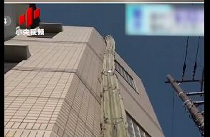 热点|日本街头仙人掌长到3层楼高，网友：仙人掌兽？会有奥特曼来打败它吗