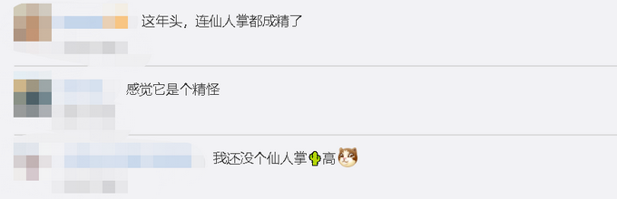 推荐|日本街头仙人掌长到3层楼高，乍一看以为是电线杆 网友：成精了？