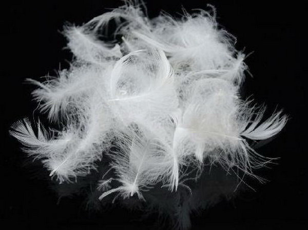羽绒棉,羽丝绒实际上是价格低廉的粉碎毛 化纤棉 网络配图